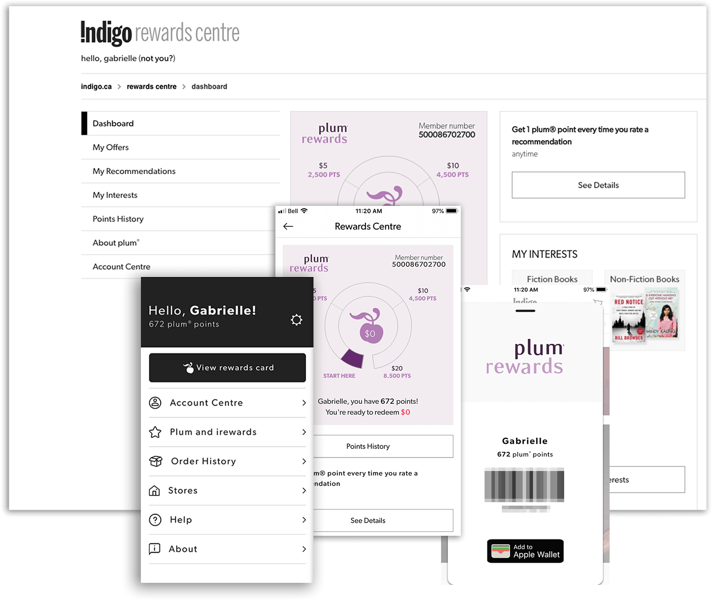 Rewards Case Study Indigo’s plum PLUS Rewards